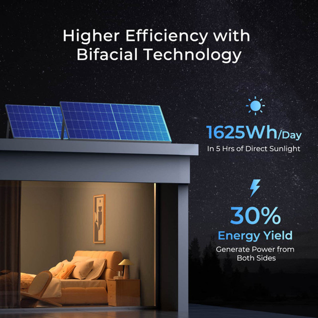 Renogy 16BB N-Type 250 Watt Bifacial Fixed Solar Panel