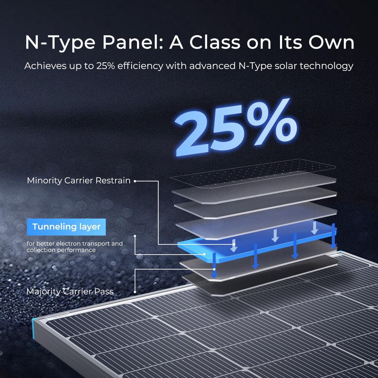 Renogy 16BB N-Type 250 Watt Bifacial Fixed Solar Panel
