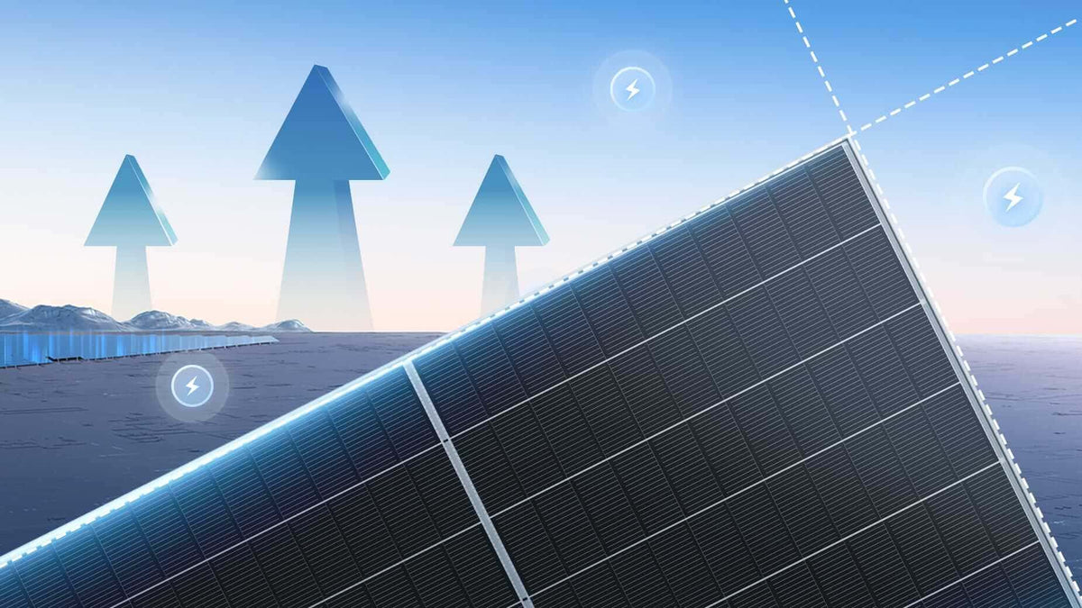 Trina Vertex N 740W family – official Trina Solar project photo