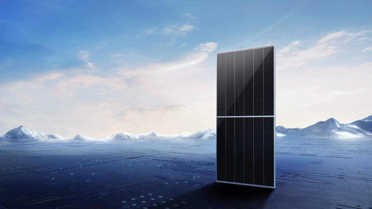 Trina Solar 740W TSM-NEG21C.20 matching solar panel in multi-panel bundle